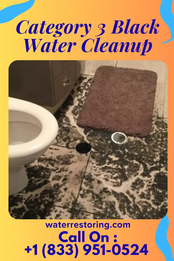 Category 3 Black Water Cleanup in Pacific Junction, IA