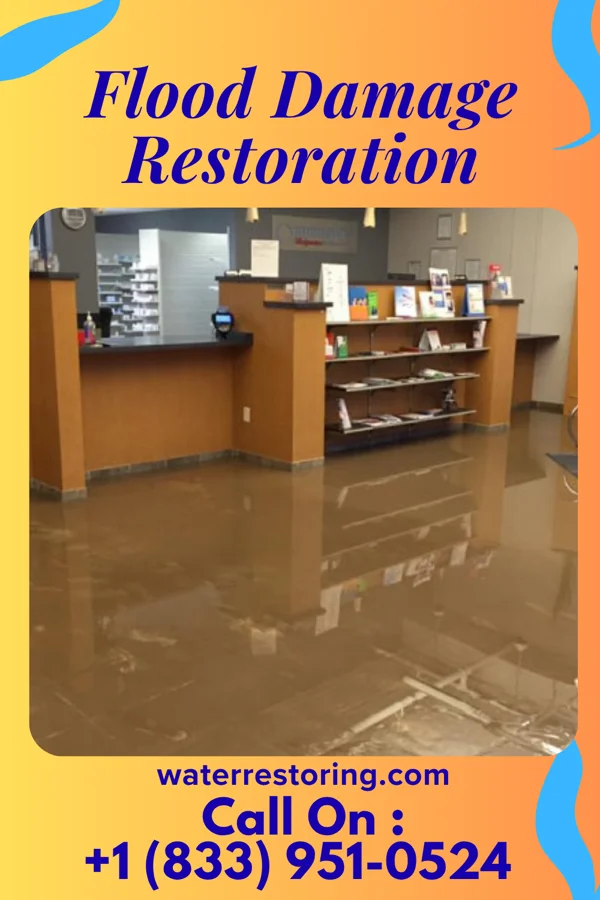 Flood Damage Restoration in Pacific Junction, IA
