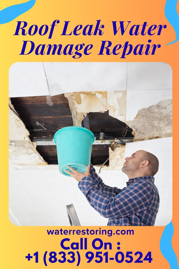 Roof Leak Water Damage Repair in Pacific Junction, IA